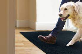 best carpet for pets in 2024 7 pet