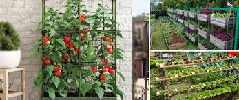 Vertical Garden 26 Plants To Grow Your