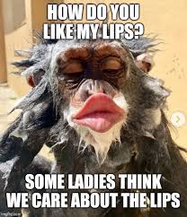 big lips flip