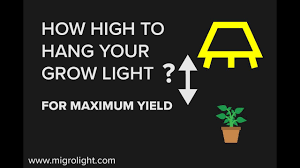 How Far Should Grow Lights Be From Plants Learn How High To Hang A Grow Light
