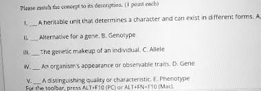 gene b genotype the genetic makeup