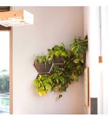 Wall Planters For Indoor Vertical