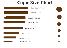 Cigar Sizes Beginner Cigars Cigar Sizes With Cigar Size
