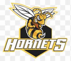 Please to search on seekpng.com. Free Transparent Hornets Logo Png Images Page 1 Pngaaa Com