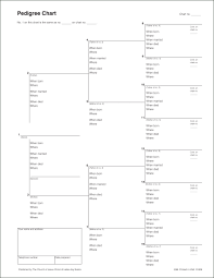 Pedigree Chart Checklists Forms