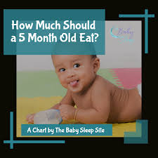 how much should a 5 month old eat