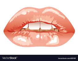 ual parted lips royalty free vector
