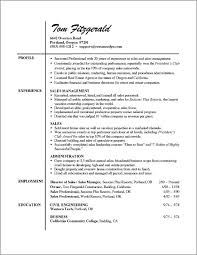 Resumes For Sales Professionals   Free Resume Example And Writing     resume summary examples