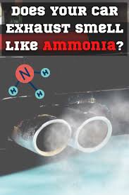 car exhaust smells like ammonia