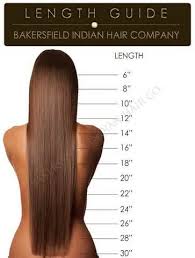 Photo Gallery Hair Length Guide Hair Color Chart Beauty