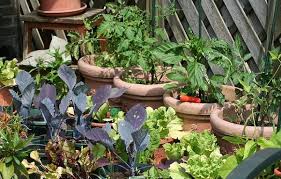 A Kitchen Garden Potager Great Idea