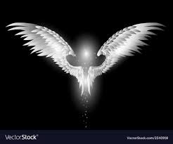 /angel+wings+on+black+background