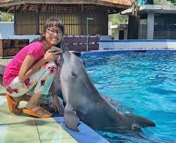 Pantai sigandu, batang, jawa tengah 🏖️ dapatkan informasi terkait htm, rute dan ulasan dari para pengunjung pantai sigandu di pantainesia. Batang Dolphin Center Lokasi Meet And Greet Murah Dengan Lumba Lumba