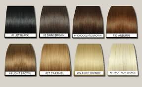Image Result For Caramel Hair Colour Chart