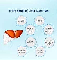 liver problems damage symptoms