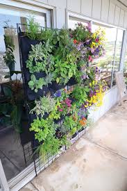 grow your very own gorgeous living wall