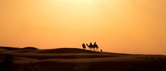 Rebecca fossett picks up the family has owned their herd of three dromedary and three bactrian camels for five years. 2 Day Overnight Camel Safari Jaisalmer Everything You Need To Know We Seek Travel Blog