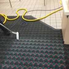 bee clean carpets updated april 2024