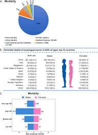 epidemiology of esophageal cancer in