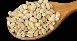 barley or jau is great for your health