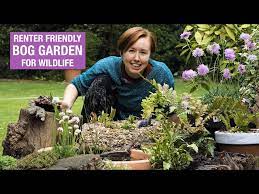 How To Make A Bog Garden In An Old Tyre