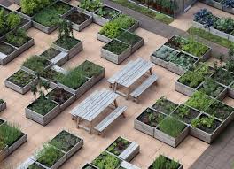 Rooftop Vegetable Gardens To Nurture