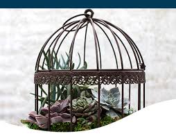 How To Make A Succulent Birdcage Ted