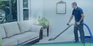 professional carpet steam cleaning