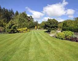 lawn care service in somers ct