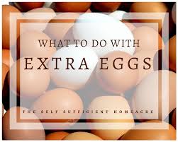 The first egg often arrives when hens are 18 weeks old an increase in day length is key driver to encouraging hens to lay eggs. What To Do With Extra Eggs The Self Sufficient Homeacre