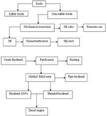 Flow Chart For Transesterification Process Biodiesel