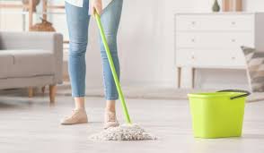 safe floor cleaner for es pets
