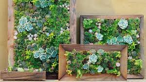 Make Your Own Diy Vertical Succulent