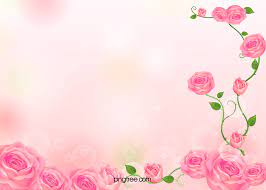 pink flowers background photos and