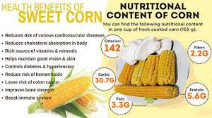 boiled corn on cob health benefits of
