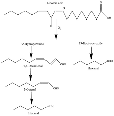 role of lipids in food flavor generation