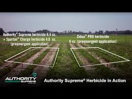 Authority Supreme Herbicides Products Fmc Agricultural