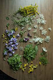 Foraging edible wildflowers is probably one of the more fun aspects of eating wild food and it's a great introduction, especially for kids. The Cocktailian S Guide To Edible Flowers Moody Mixologist