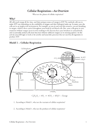 Right here, we have countless book chapter 9 cellular respiration graphic organizer answer key and collections to check out. Cellular Respiration Ap Pogil Cellular Respiration Adenosine Triphosphate