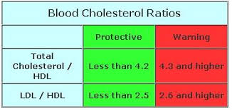 Cholesterol Level Scale Whats The Meaning
