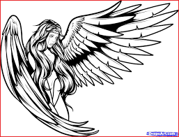 How To Draw Angels 158184 The Gallery For Angel Wings Folded Drawing