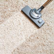 deep clean your carpets