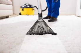 top carpet cleaning services near