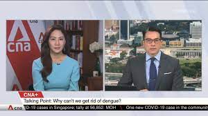 View cnn world news today for international news and videos from europe, asia, africa, the middle east and the americas. Cna Talking Point Investigates Why We Can T Get Rid Of Dengue Asia First Cna