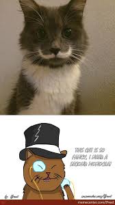 Fancy Standing Cat Memes. Best Collection of Funny Fancy Standing ... via Relatably.com