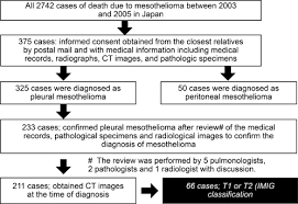 mesothelioma differential diagnosis with advanced imaging and biopsy techniques. Supplemental Materials For Pleural Irregularities And Mediastinal Pleural Involvement In Early Stages Of Malignant Pleural Mesothelioma And Benign Asbestos Pleural Effusion European Journal Of Radiology