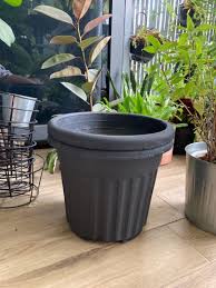 plastic pot planter indoor plant