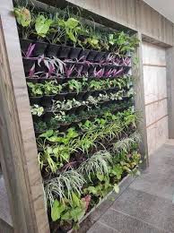 krupex india plastic vertical garden