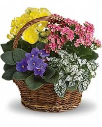 flower delivery roslyn ny 11577