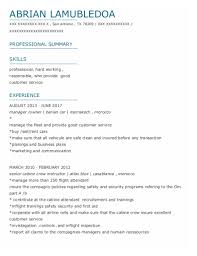 Open the flight attendant resume with a career objective or summary statement. Experienced Cabin Crew Cv Premium Cabin Crew Resume Premium If You Have Little Experience Composing Your Own Resume It S Hard To Know Where To Start